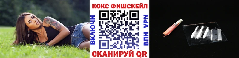 KRAKEN tor  Злынка  Кокаин 99%  купить наркоту 