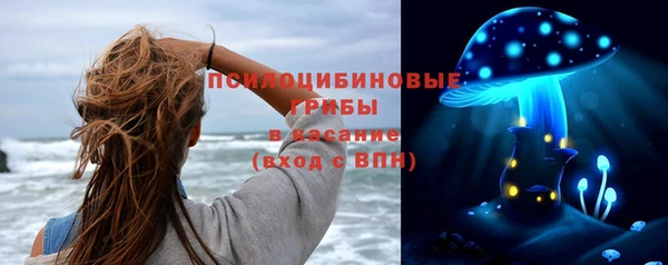 герыч Арсеньев