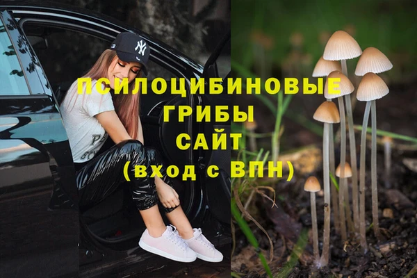 синтетический гашиш Армянск